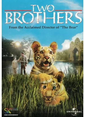 Two Brothers (DVD)