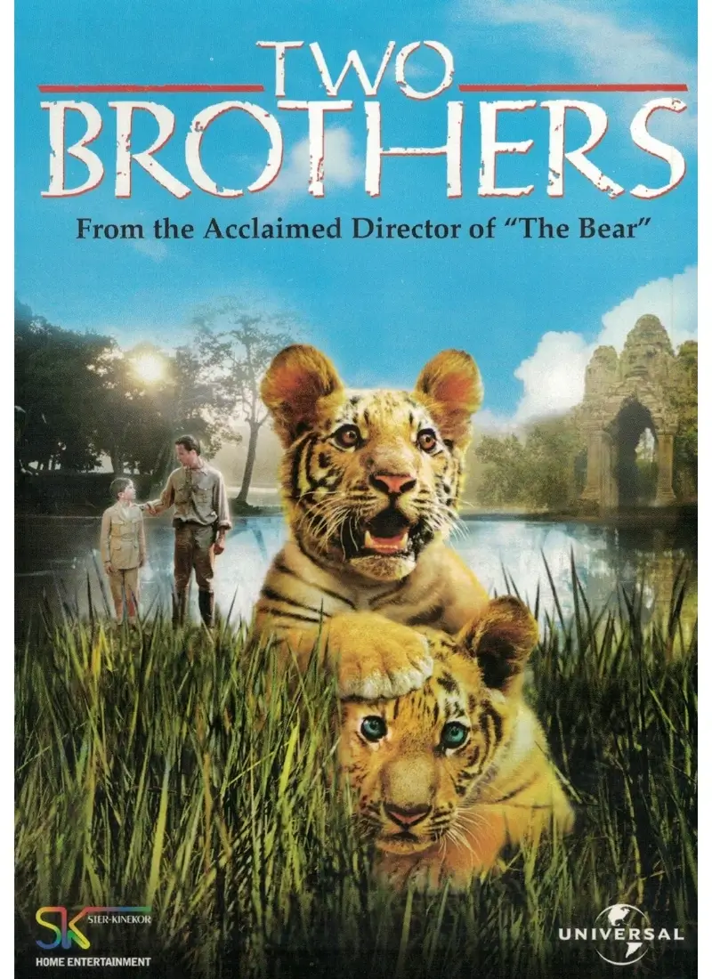 Two Brothers (DVD)