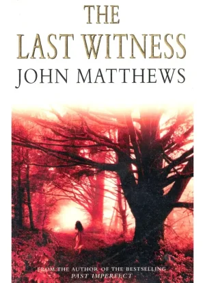 The Last Witness by John Matthews