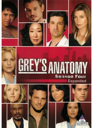 Grey's Anatomy - Season 4 (DVD)