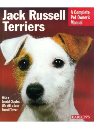 Jack Russell Terriers