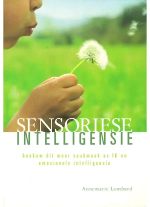 Sensoriese Intelligensie