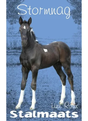 Stalmaats: Stormnag
