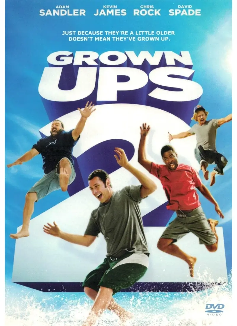 Grown Ups 2 (DVD)