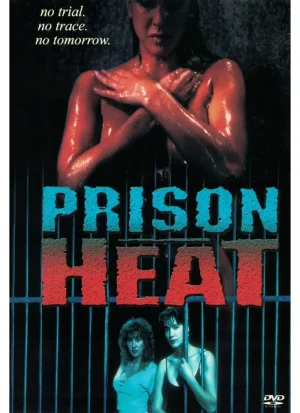 Prison Heat (DVD)