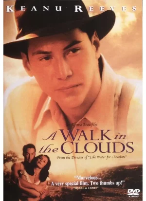 A Walk in the Clouds (DVD)