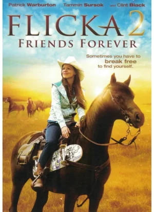 Flicka 2 (DVD)