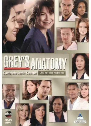 Grey's Anatomy - Season 10 (DVD)