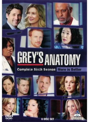 Grey's Anatomy - Season 6 (DVD)