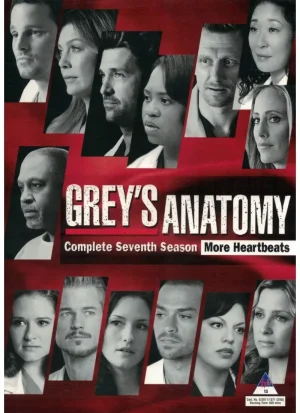 Grey's Anatomy - Season 7 (DVD)