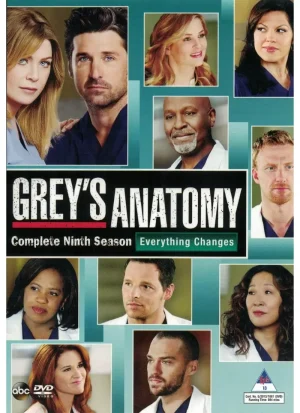 Grey's Anatomy - Season 9 (DVD)