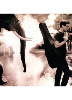 Bryan Adams - On a day like today (CD)