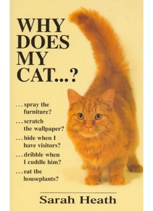 Why does my cat...?